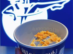 -蔻蔻椰·鲜萃椰子水(欢乐港湾店)