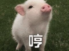 -UH祐禾(光谷世界城店)