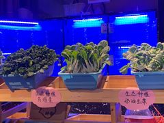 -醉霖生态餐厅(交大店)
