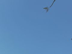 -惠州西湖丰渚园