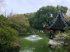 -上海醉白池公园