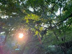 -中国茶叶博物馆(双峰馆区)