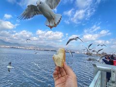 -海埂大坝