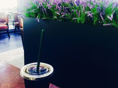 大堂-星巴克(西湖天地店)