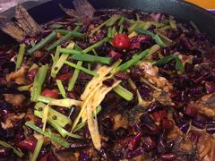 -老板恋上鱼(恒隆广场店)