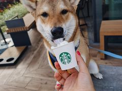 -星巴克(珠海仁恒滨海中心店)