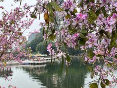 -星湖旅游景区七星岩