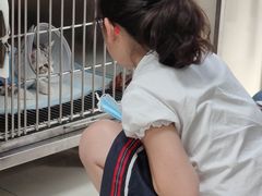 -申普宠物医院·心脏介入·心血管微创(总院)