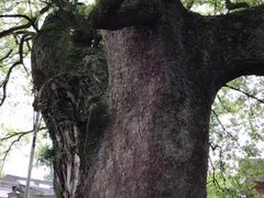 -新安江山水画廊风景区