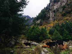 -孟屯河谷景区