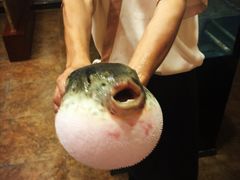 -天正河鲀·河豚亭(大连店)