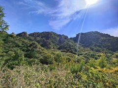 -大岭沟猕猴桃谷风景区