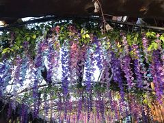 -呀路古热带植物园