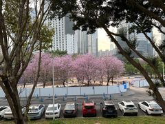 -天河体育中心