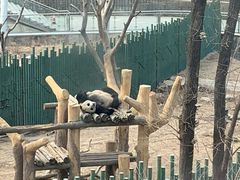 -沈阳森林动物园