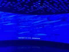 -同济大学四平路校区深海探索馆