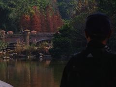 -云溪植物园
