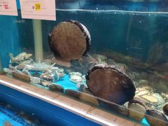 水产区-福娣·金沙银贝海鲜火锅