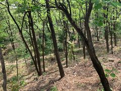 -阳台山自然风景区