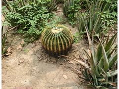 -苏州太湖西山岛开心农场