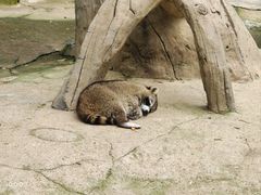 -杭州野生动物世界