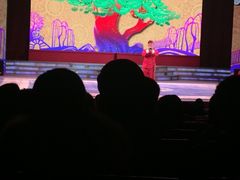 刘老根大舞台(正阳街分部)-大舞台剧场