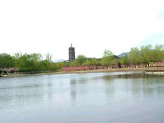 -永定河休闲森林公园