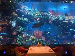 -迪拜帆船酒店海底餐厅
