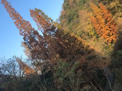 -天明山温泉大酒店