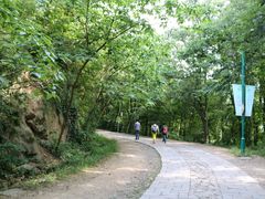 -上海佘山国家森林公园西佘山园