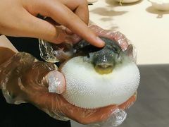 -肆月河豚·新淮扬(金融街店)
