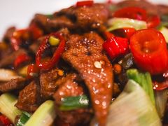 -老板恋上鱼(印象城店)