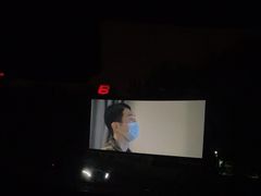 -枫花园汽车电影院(朝阳公园店)