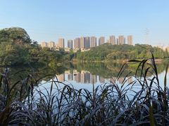 -重庆彩云湖湿地公园