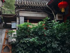 -百好乐宠物友好餐厅(朝外大街店)