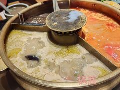 -巴奴毛肚火锅(六天地店)