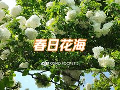 -蠡湖大桥公园