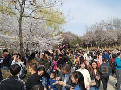 -西安青龙寺遗址景区