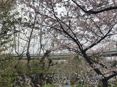 -南浦大桥长途旅游客运站