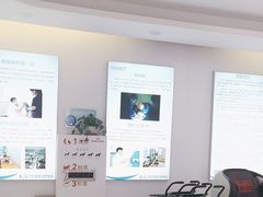 -北京观赏动物医院·24小时大型综合·猫专科·异宠专科