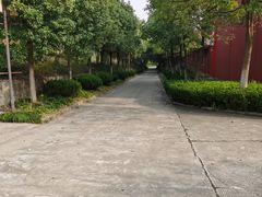 -开福禅寺