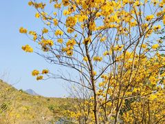 -碧桂园十里银滩