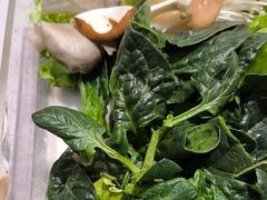 -红鼎豆捞·非遗鲍皇汤火锅(宝丰路店)