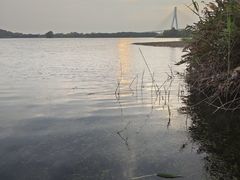 -芒洲湿地公园