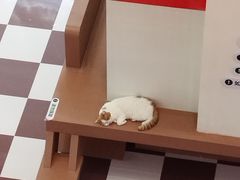 -福田卓悦INTOWN购物中心