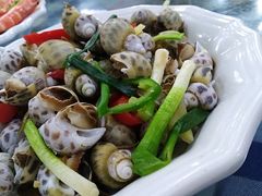 白灼花螺-钱大妈海鲜饭店(保利林语店)