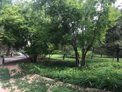 -大望京儿童游乐场