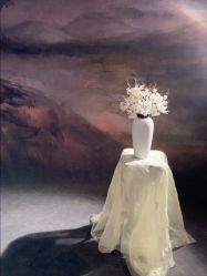 -大连棒棒糖儿童摄影(熊洞街店)