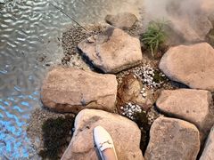 -精绝七日-新疆尼雅遗址数字大展【拉法耶文化艺术中心】