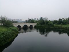 -眉山湿地公园(东坡区)